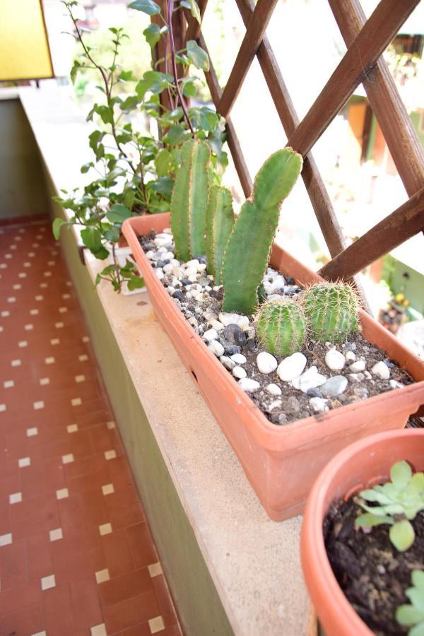 Euforbia House Appartement Ostia Buitenkant foto